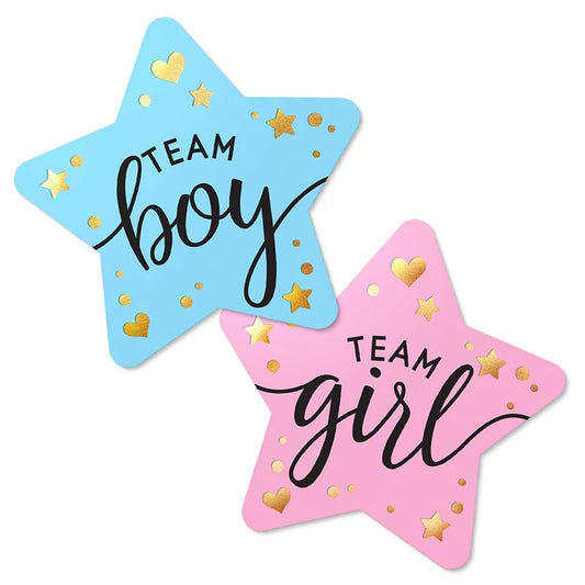Team Boy Team Girl Stickers